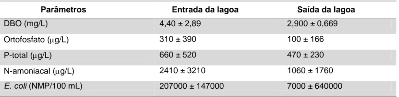 Figura 8 - Planície inundável para TR 100  