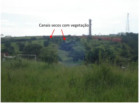 Foto 1: Ao fundo em destaque as drenagens que na base cartográfica eram fluviais, mas em trabalho de  campo caracterizavam pluviais