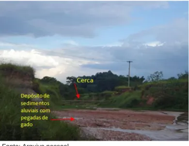 Foto 4: Leito do Córrego do Castelo, com destaque às áreas de deposição aluvial, pisadas de gado e  cerca ao fundo para impedir que o gado passe para outra propriedade
