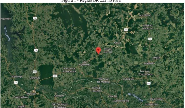 Figura 1 - Região BR 222 no Pará 