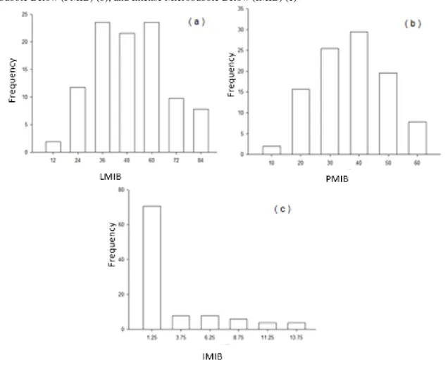 Figure  3.  Average  values  of  frequency  (%)  of  ham  pieces  with  Little  Microbubble  Below  (lmib)  (a),  Plenty  of  Microbubble Below (PMIB) (b), and Intense Microbubble Below (IMIB) (c) 