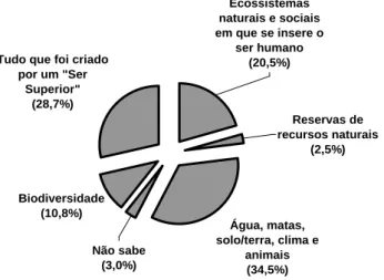Figura 1 – Respostas à pergunta dirigida à população: “Em sua opinião, o que é meio ambiente”? 