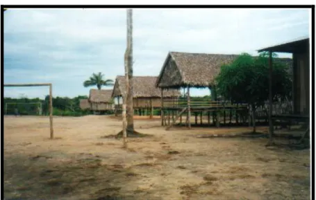 Figura 1: casas da aldeia da terra indígena estudada. 
