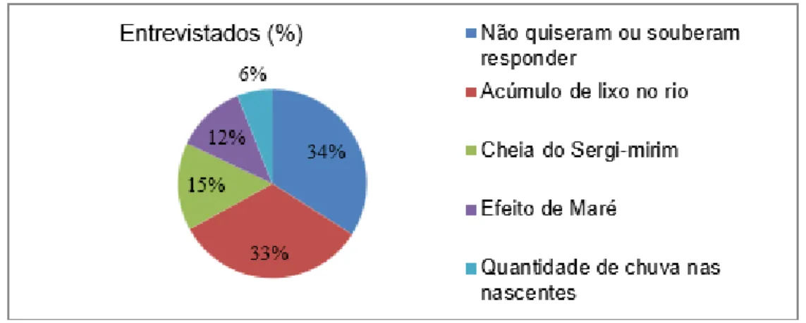 Figura 5 – Resultado sobre as causas das inundações em Santo Amaro, Bahia 