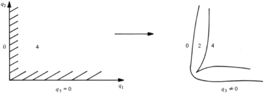Fig. 4.4. Catastrophe theory establishes the generic form for the unfolding of the double-fold caustic at each corner of the projection of a product torus as it evolves