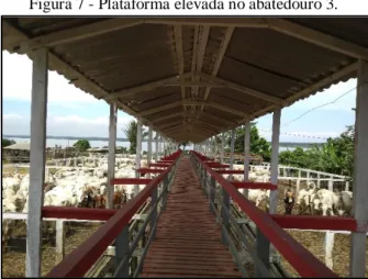 Figura 7 - Plataforma elevada no abatedouro 3. 