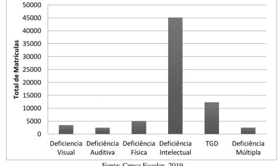 Figura 1 - Distribuição do número total de matriculas da educação especial em função do tipo de deficiência