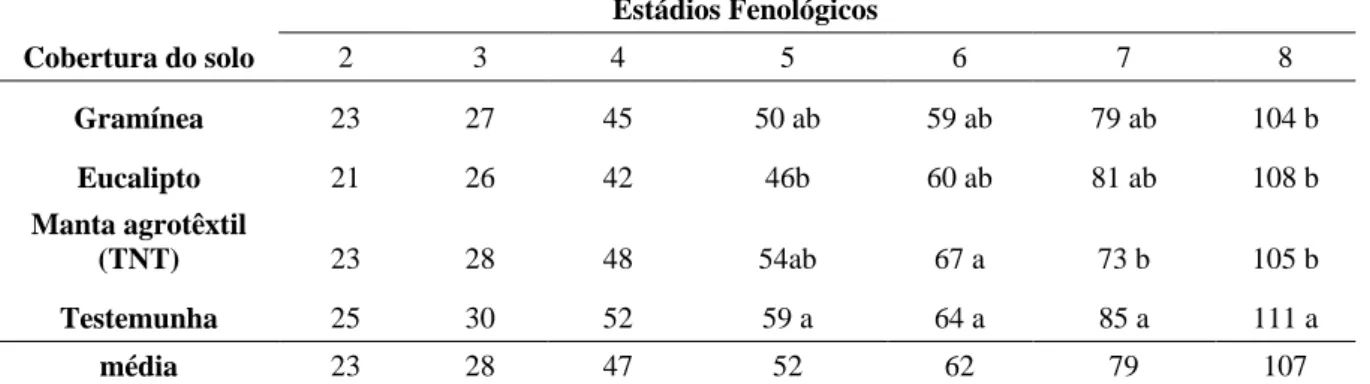 Tabela 02 – Influencia de diferentes tipos de cobertura do solo no estádio fenológico de plantas de Physalis peruviana  em decorrência do número de dias após o transplantio (DAPT)