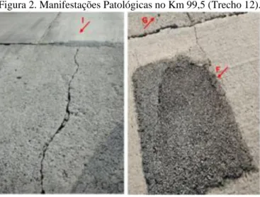 Figura 2. Manifestações Patológicas no Km 99,5 (Trecho 12). 