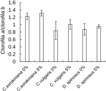 Figura 11 - Razão clorofila a/clorofila b (mg/L) obtida a partir de cultivos de C. vulgaris,  C