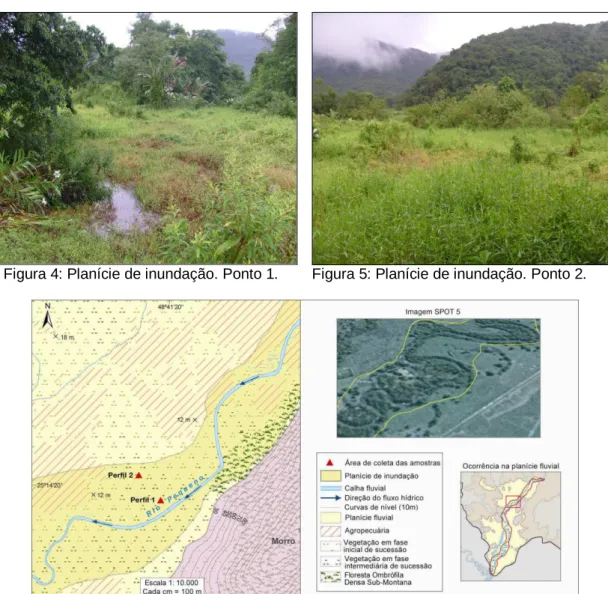 Figura 6: Representação da Planície de inundação e localização dos perfis amostrais   (SILVA, J
