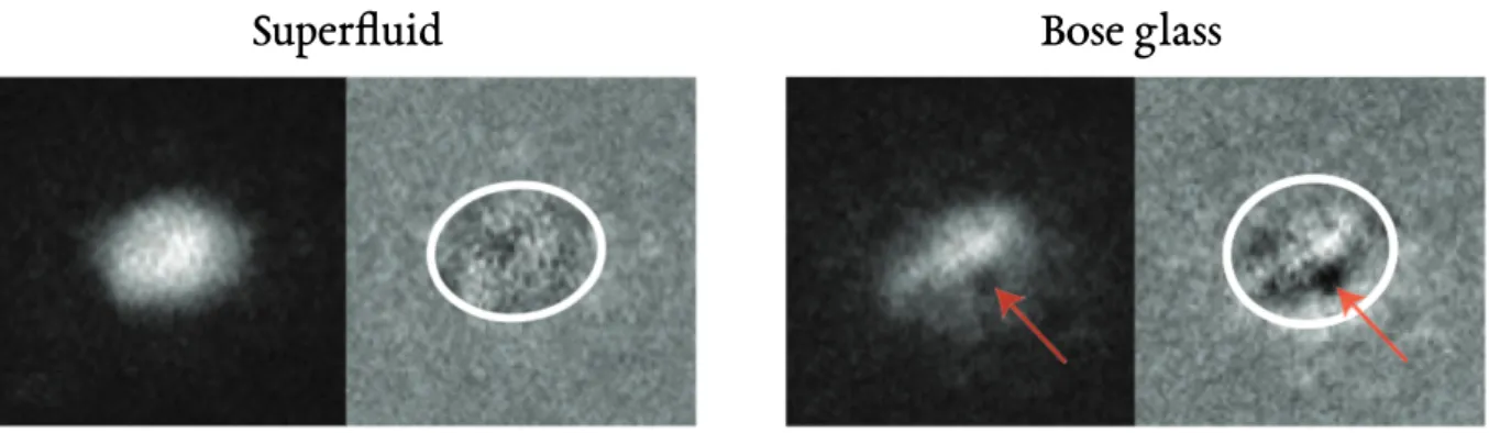 Figure 1.13 – Density profile of superfluid and Bose glass phases. The white ellipses correspond to the fitted (Thomas-Fermi) radius of the atomic cloud where the fitted profile was subtracted in the right images