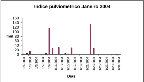 FIGURA 11: Variação da pluviosidade diária durante o mês de janeiro de 2004. Fonte: DEA/UFV 