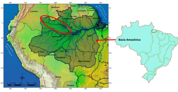 Figura 1. Localização do rio Negro em território brasileiro (Fonte: ANA, 2010) 