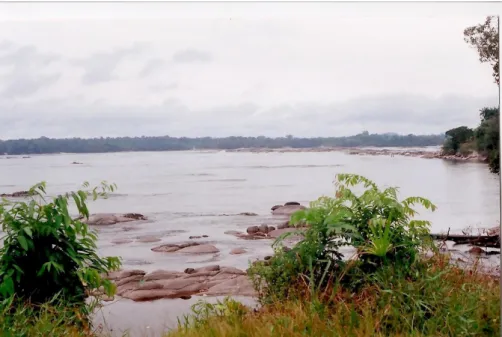 Figura 3: Vista da área de corredeira do rio Negro, orla da sede do município São Gabriel da  Cachoeira (período seca/enchente)