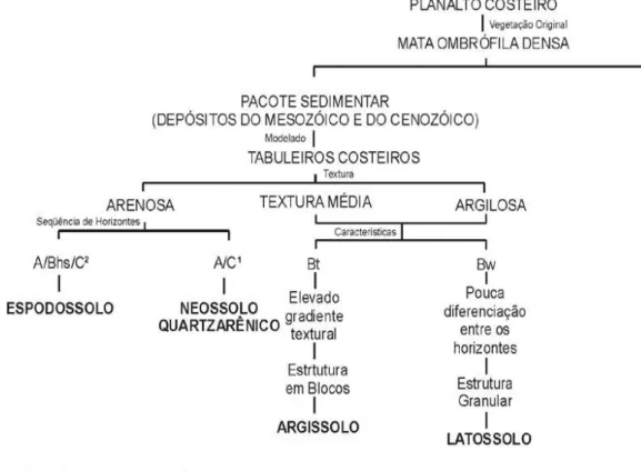 Figura 9 - Chave de Estratificação de Ambientes do Planalto Costeiro (Tabuleiros Costeiros) do município  de Ilhéus-Bahia 