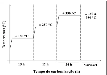 Figura 1 - Curva teórica de carbonização utilizada para obtenção dos carvões vegetais