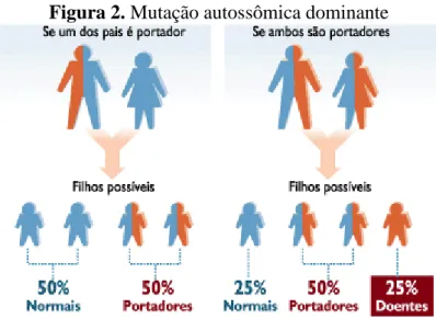 Figura 2. Mutação autossômica dominante 