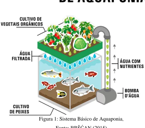 Figura 1: Sistema Básico de Aquaponia , 