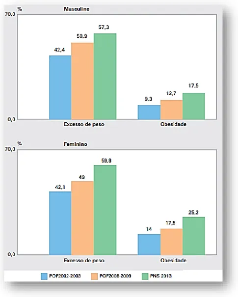 Figura 13: Prevalência de excesso de peso e obesidade na população de 20 anos ou mais por idade e sexo  Brasil - períodos 2002-2003, 2008-2009 e 2013