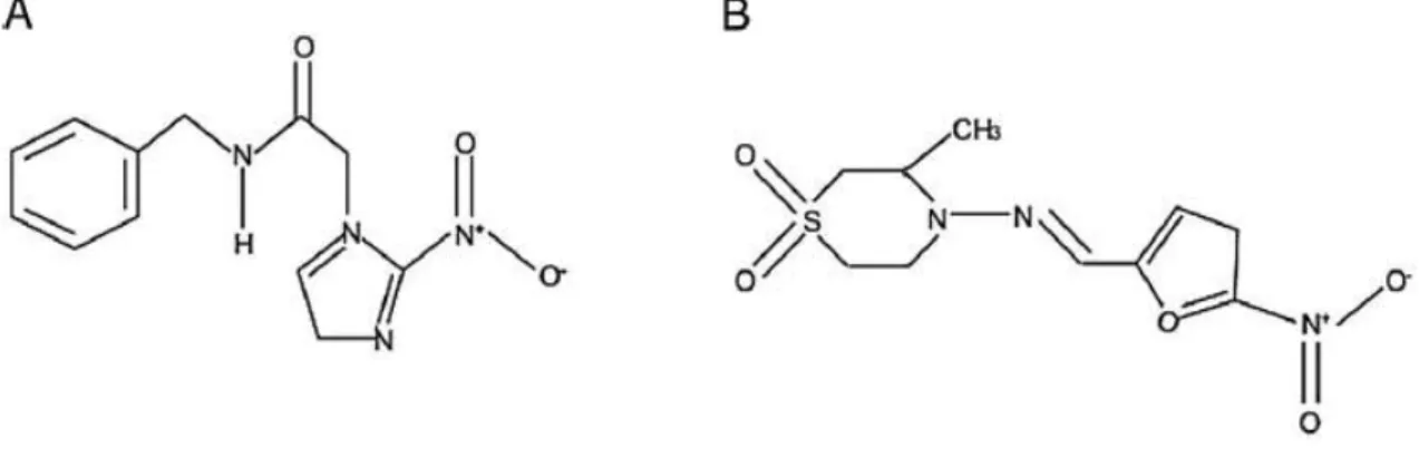Figura 1: Estrutura química do Benznidazol (A) e do Nifurtimox (B). 