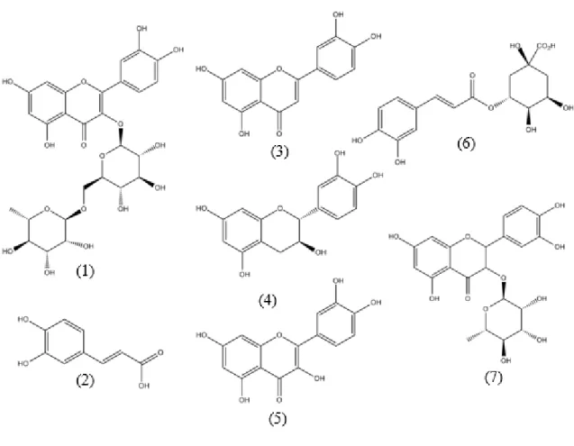 Figura 3: Estruturas químicas das substâncias encontradas nas folhas da G. ulmifolia.  