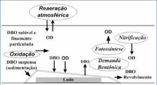 Figura 7: Balanço de OD nos sistemas aquáticos. 