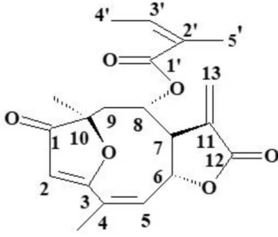 Figura 2 - Estrutura química da lactona sesquiterpênica Licnofolida 