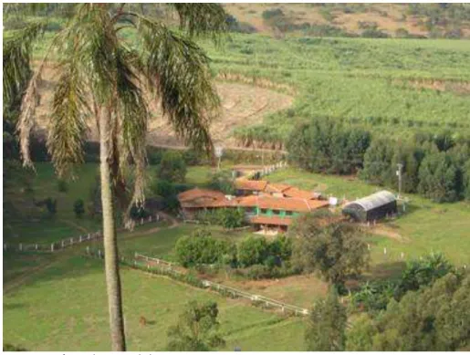 Figura 8: Vista da Sede do Projeto Pedra Viva: Predomínio de Pastagens,  Cana-de-Açúcar e Infra-estrutura de Camping 