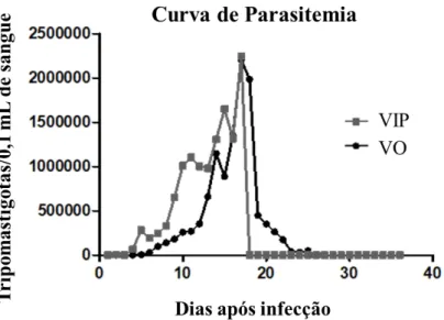 Figura  1:  Médias  das  curvas  de  parasitemia  dos  camundongos  Swiss  infectados  por  formas  tripomastigotas metacíclicas por via intraperitoneal (VIP) (em cinza) ou por via oral (VO) (em preto)  com a cepa VL-10 do T