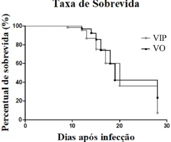 Figura 2: Taxa de sobrevida dos camundongos  Swiss infectados por via intraperitoneal (VIP) ou por  via oral (VO) com 1,0 x 10 5  tripomastigotas metacíclicas da cepa VL-10 do Trypanosoma cruzi