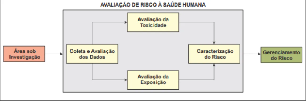 Figura 7 – Fluxograma simplificado da metodologia para Avaliação de Risco   Fonte: SQUISSATO (2012)