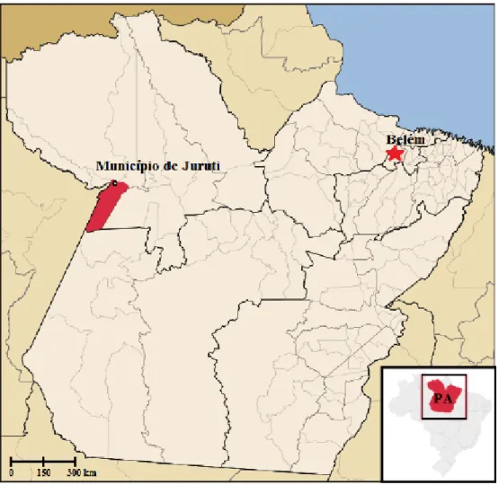 Figura 2 - Localização da Mina de Juruti 