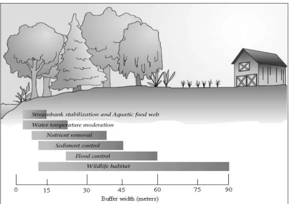 Figure 1 – Buffer width for specific objectives. Source Tjaden and Weber (2004) – modified (width  unity converted from international to metric system)