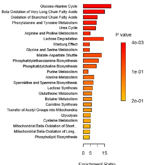Figure 1:  Summary Plot for Over Representation Analysis (ORA) 