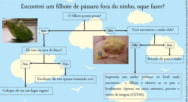 Figura 1: Cartilha informativa sobre como lidar com filhotes encontrados fora do ninho