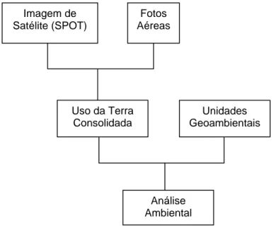 Figura 3: Organograma de Análise Ambiental 
