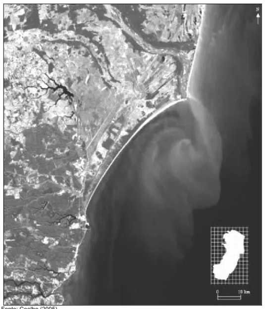 Figura 2 - Imagem satélite falsa cor (ano 2003) destacando a dinâmica sedimentar do rio Doce em sua  desembocadura, contribuindo, em parte, para manutenção do estoque sedimentar das praias adjacentes,  como também, a manutenção (equilíbrio) dos processos h