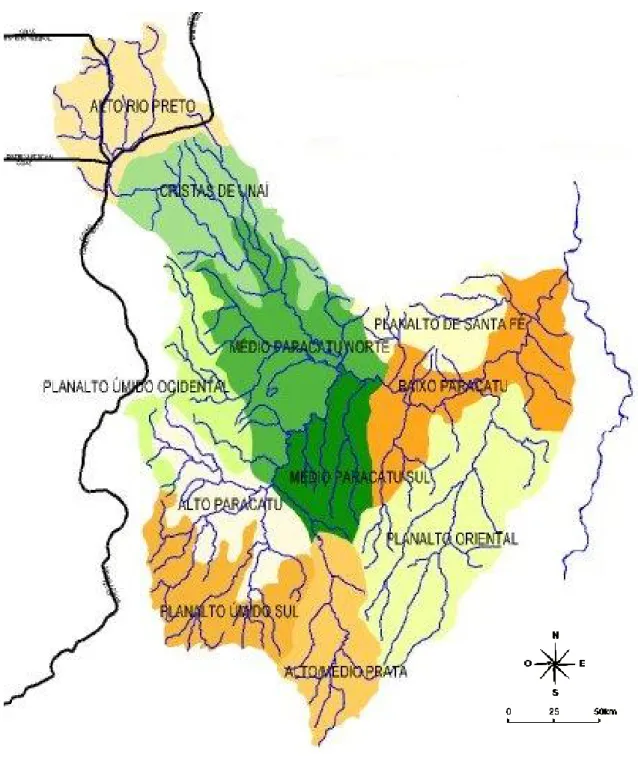 Figura 1 - Bacia do Rio Paracatu 