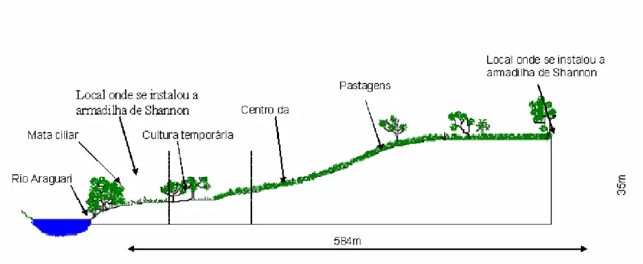 FIGURA 11 - Perfil Topográfico da área de Implantação da barragem da UHE Capim Branco II, maio/2004 