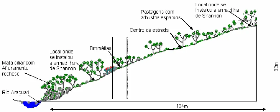 FIGURA 4 - Perfil Topográfico da área de Implantação da barragem da UHE Capim Branco I, outubro/2003 