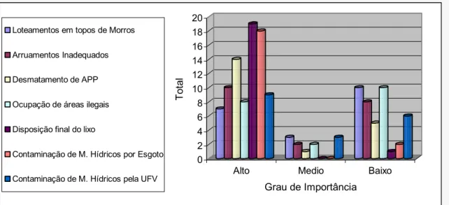 Figura 5 - Grau de importância dos problemas ambientais, bairro Maria Eugência, Viçosa (MG)  Fonte: Elaboração a partir dos dados do autor, 2004 