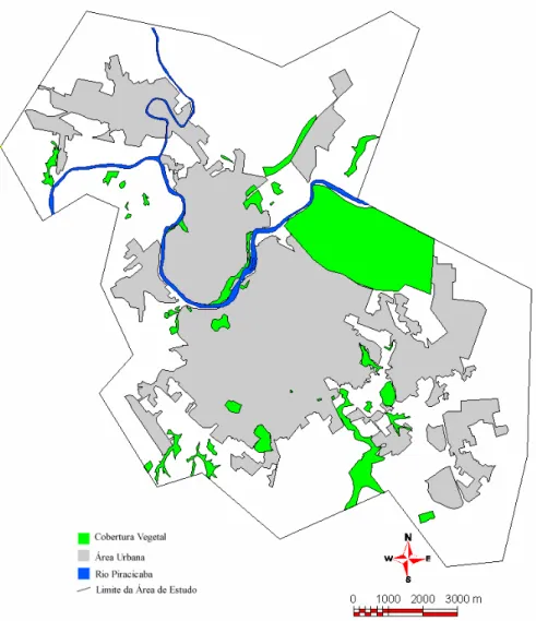 Figura 4 - Perímetro urbano e as áreas de cobertura vegetal de 1995. 