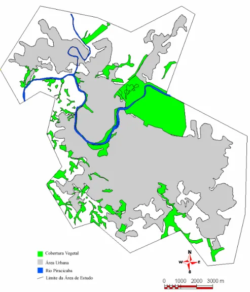 Figura 5 - Perímetro urbano e áreas de cobertura vegetal de 2000 