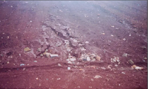 Figura 8  - Princípio de sulcamento erosivo no talude da plataforma do aterro e  exposição do lixo - Nov/2001 