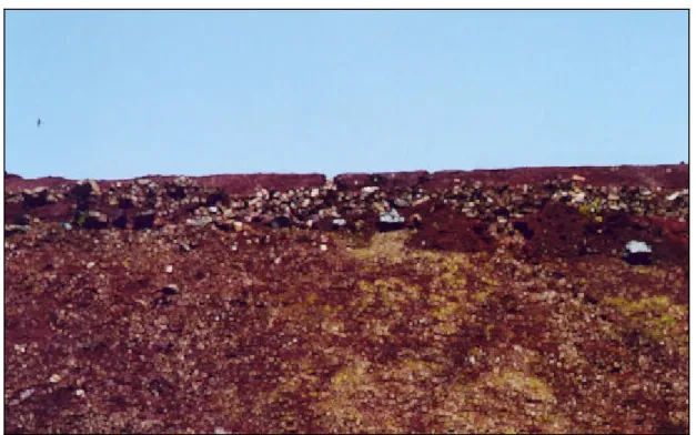 Figura 9  - Princípio de sulcamento erosivo no talude  da plataforma do aterro e  exposição do lixo - Nov/2001 