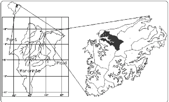 Figura 1 - Localização da Bacia hidrográfica do Rio anil (área hachurada) 