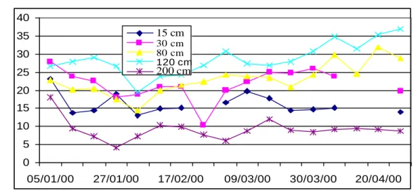 Gráfico 4 - Média de Condutividade Elétrica em solução do solo nas áreas de Pinus 