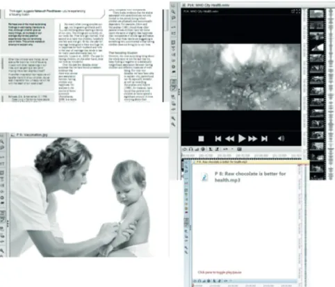 Figura 3 – Exemplos de documentos primários – primary documents
