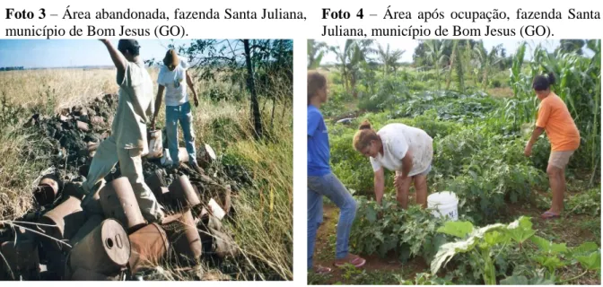 Foto 3 – Área abandonada, fazenda Santa Juliana,  município de Bom Jesus (GO). 